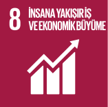İnsana Yakışır İş ve Ekonomik Büyüme